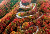 Đẹp choáng ngợp mùa lá đỏ lãng mạn trên con đèo 48 khúc cua ở Nhật Bản Đẹp choáng ngợp mùa lá đỏ lãng mạn trên con đèo 48 khúc cua ở Nhật Bản