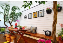 Năm 2019 đến rồi: Đây là 7 loại cây nên trồng để thu hút tài lộc cho gia đình bạn Năm 2019 đến rồi: Đây là 7 loại cây nên trồng để thu hút tài lộc cho gia đình bạn