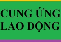 chuyên cung cấp nữ giúp việc nhà bao ăn ở hoặc đi về chuyên cung cấp nữ giúp việc nhà bao ăn ở hoặc đi về