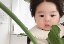 TÌM NGƯỜI GIÚP VIỆC CHĂM EM BÉ HUYỆN XUÂN LỘC TỈNH ĐỒNG NAI TÌM NGƯỜI GIÚP VIỆC CHĂM EM BÉ HUYỆN XUÂN LỘC TỈNH ĐỒNG NAI