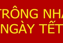 TÌM NGƯỜI TRÔNG NHÀ NGÀY TẾT TẠI QUẬN TÂN BÌNH -- 0903.720.327 TÌM NGƯỜI TRÔNG NHÀ NGÀY TẾT TẠI QUẬN TÂN BÌNH -- 0903.720.327